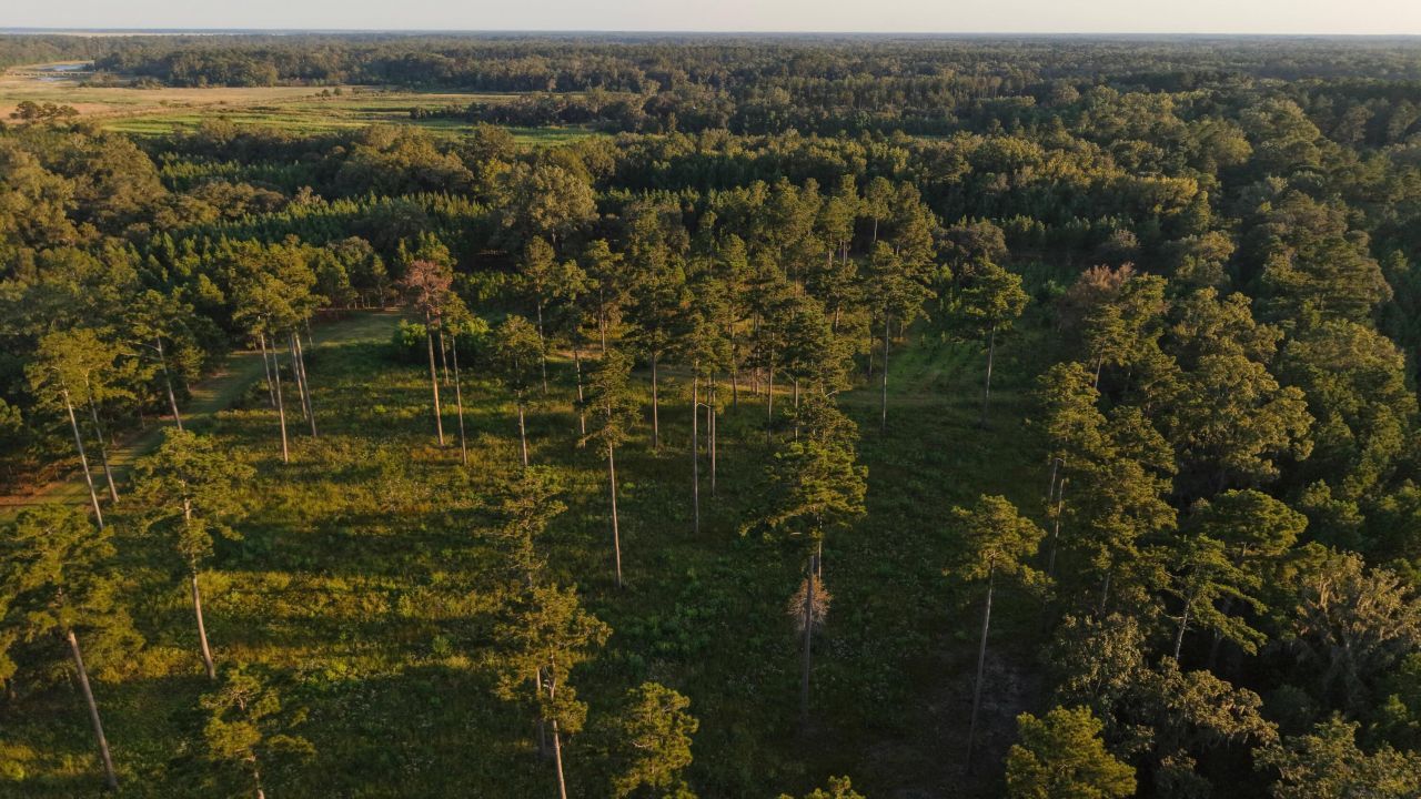 1451 River Road Photo 87