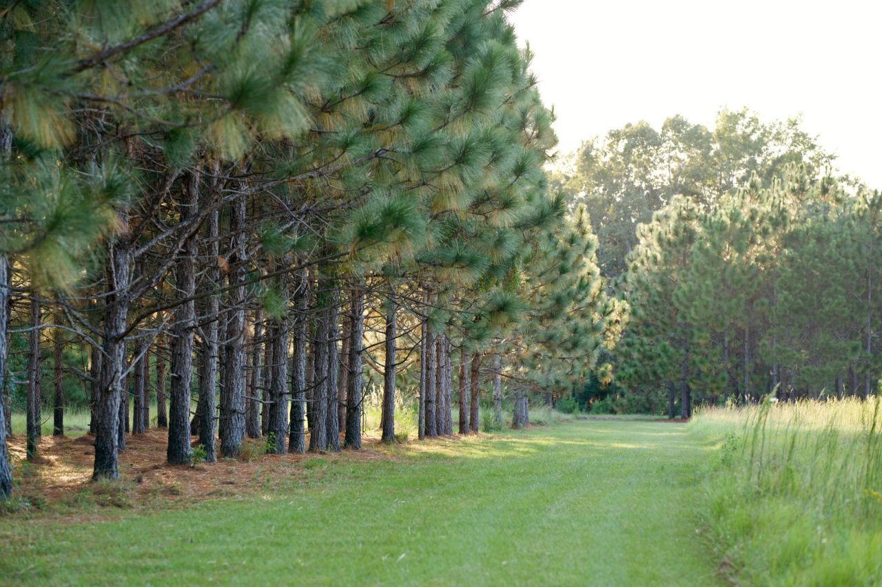 1451 River Road Photo 88