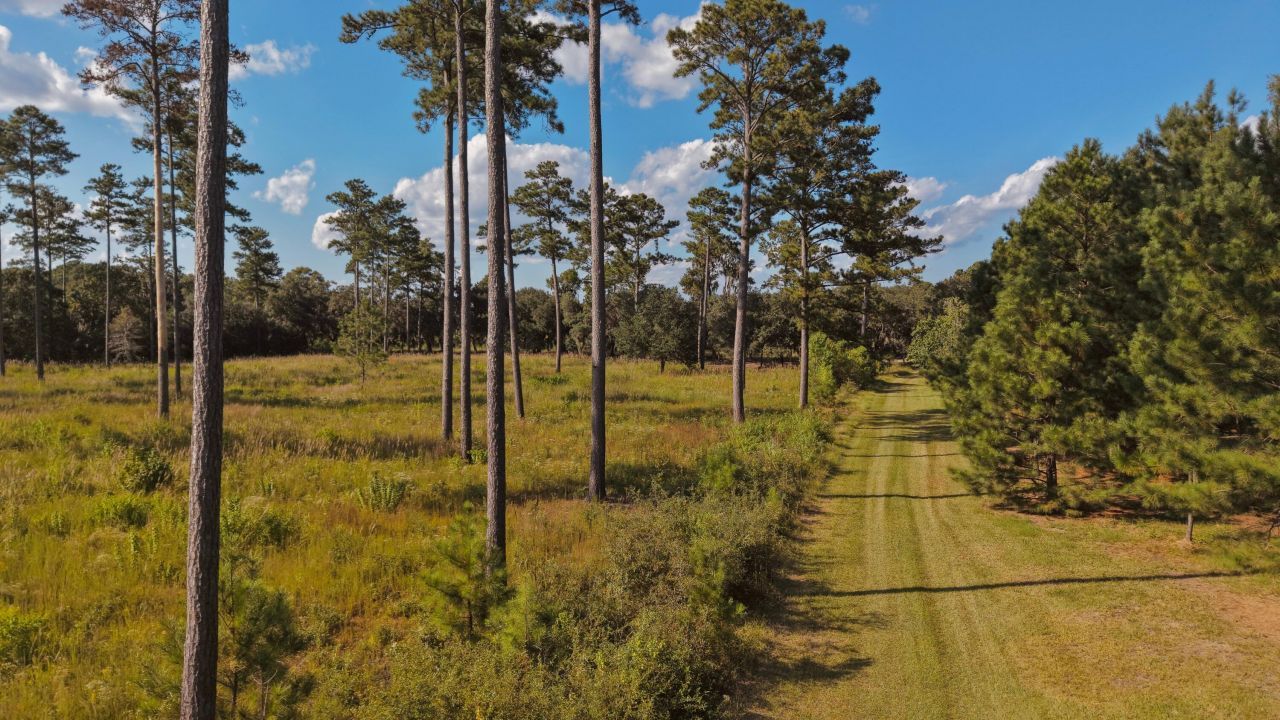 1451 River Road Photo 89