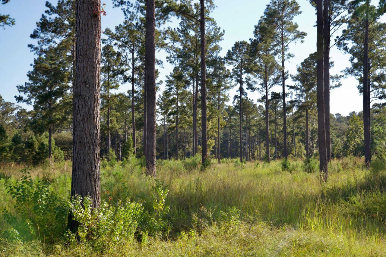 1451 River Road Photo 90