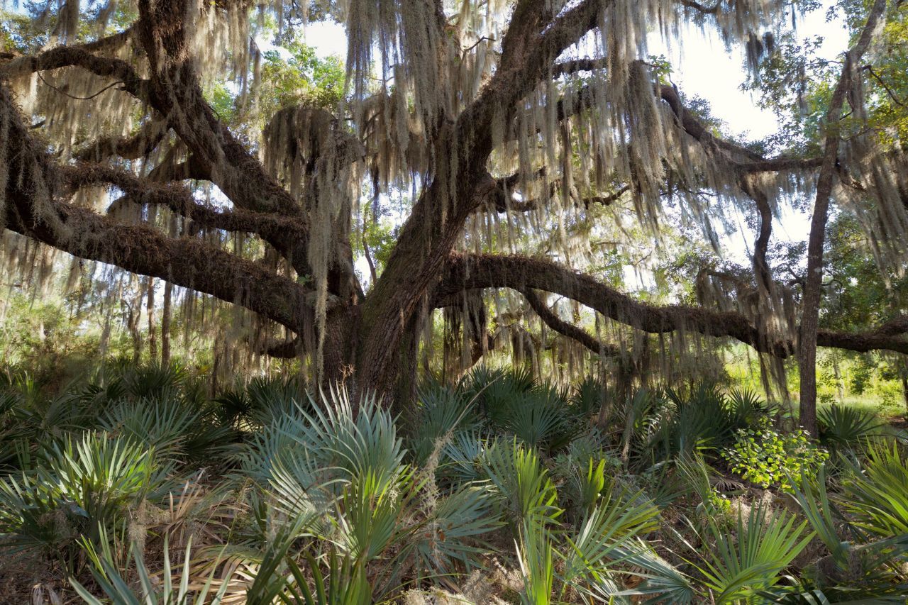 1451 River Road Photo 92