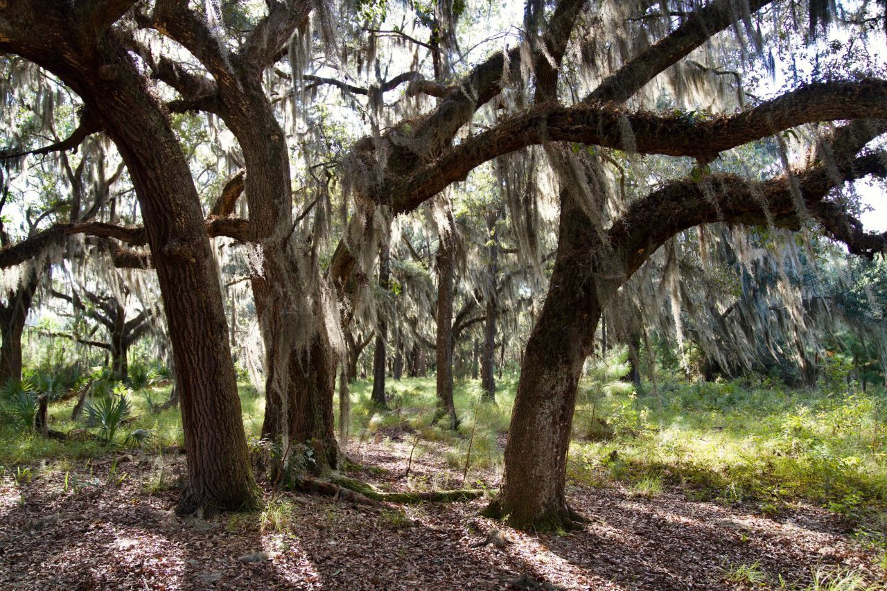 1451 River Road Photo 93