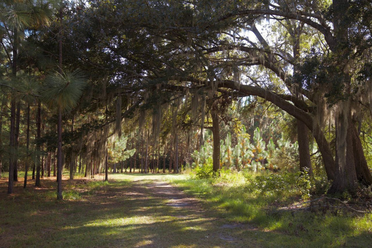 1451 River Road Photo 94