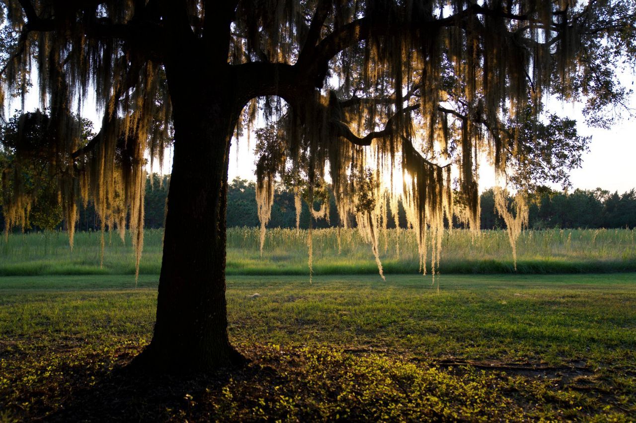 1451 River Road Photo 95