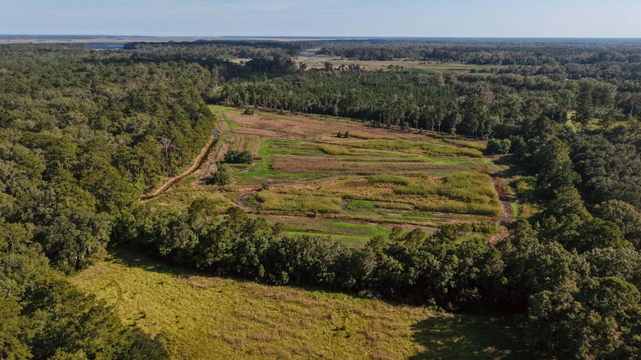 1451 River Road Photo 96