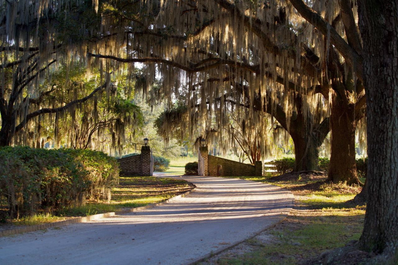 1451 River Road Photo 99