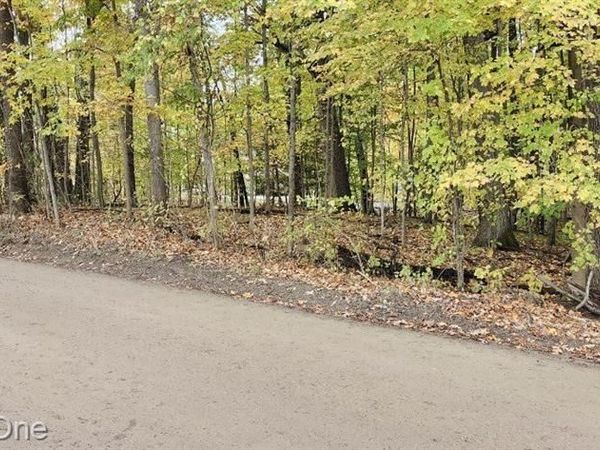 0000 Curtis Rd Curtis Rd, Oxford Twp, MI 48367