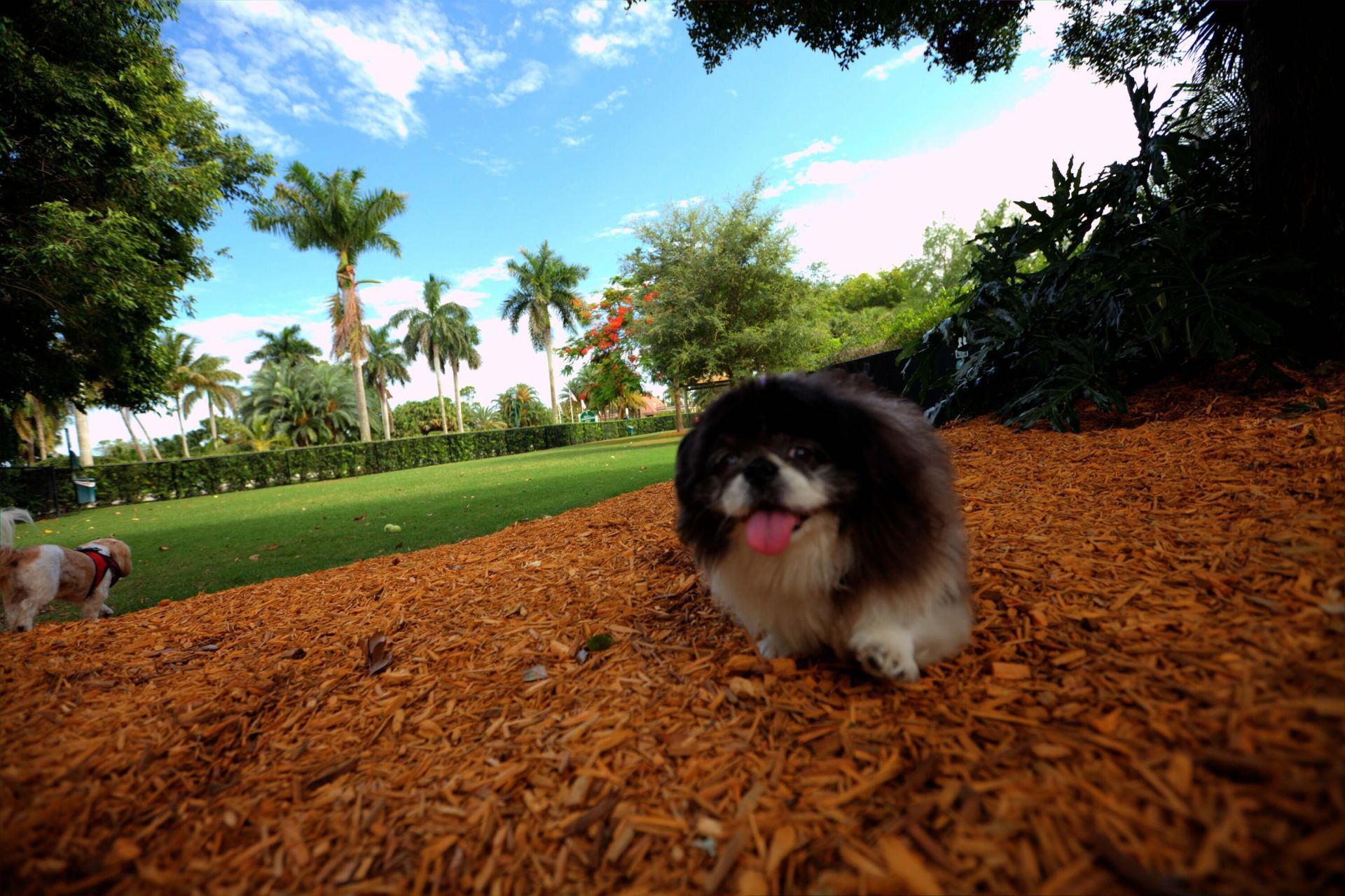 10347 Orchid Reserve Drive, West Palm Beach, FL 33412 Photo