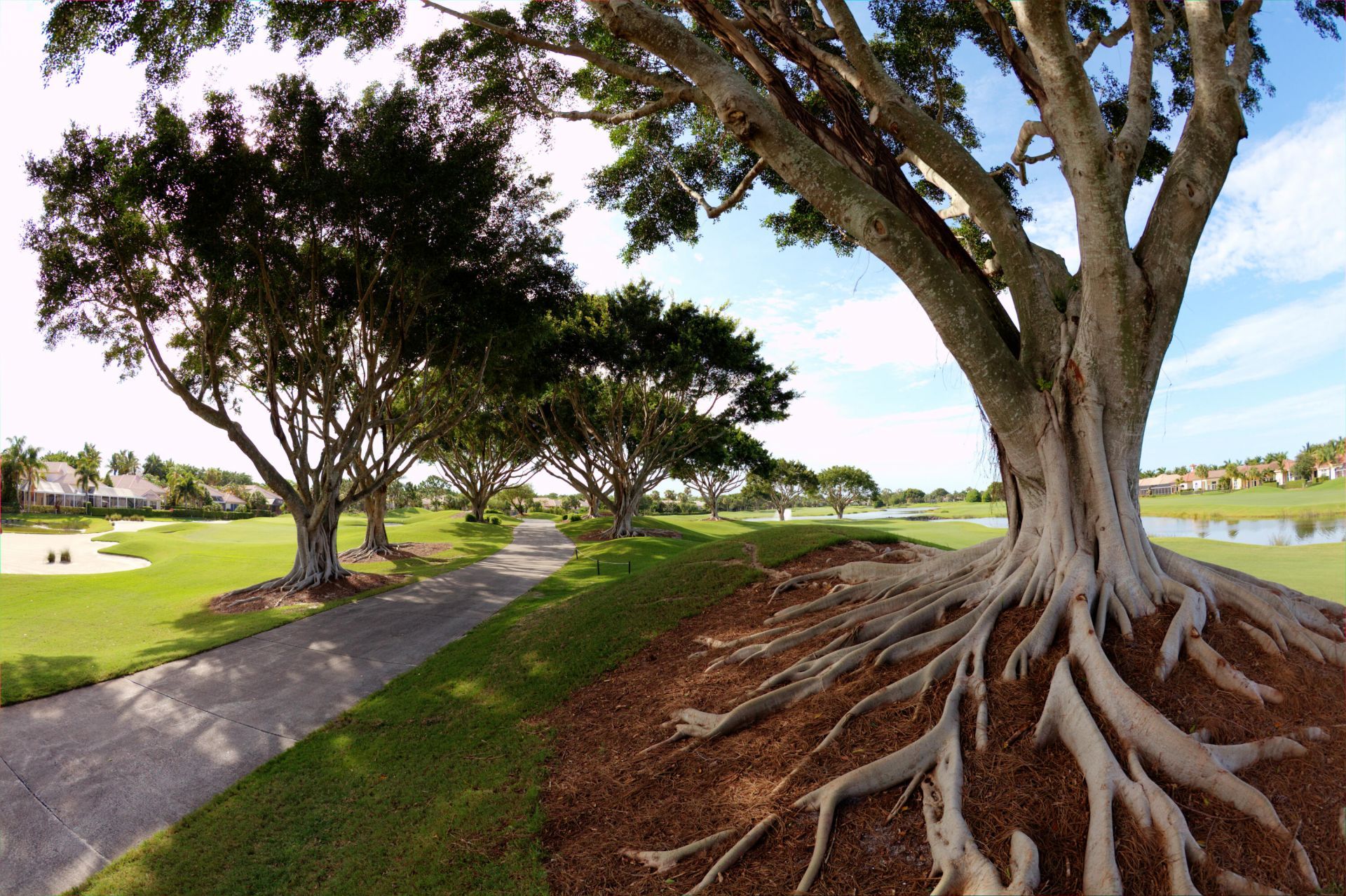 10347 Orchid Reserve Drive, West Palm Beach, FL 33412 Photo