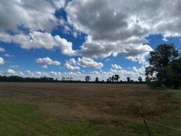 TBD HWY 115 W Highway, Bunkie, LA 71322