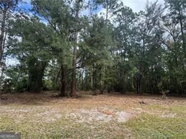 86 Marsh Creek Boulevard, Waverly, GA 31565