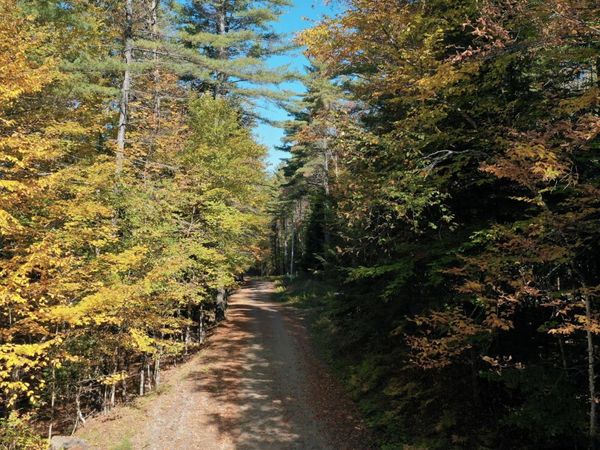 173 Cleveland Road, Johnsburg, NY 12843