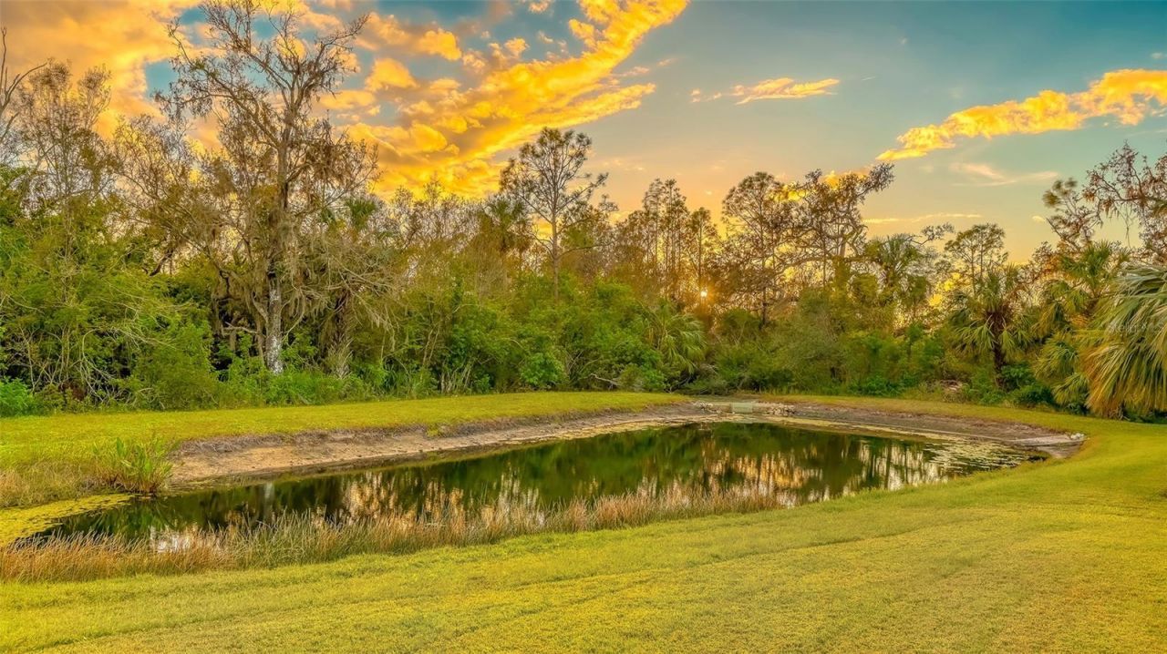 16307 29th Court E, Parrish, FL 34219 Photo