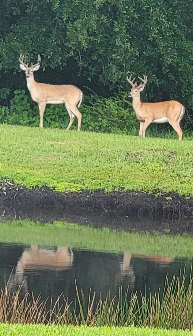 16307 29th Court E, Parrish, FL 34219 Photo