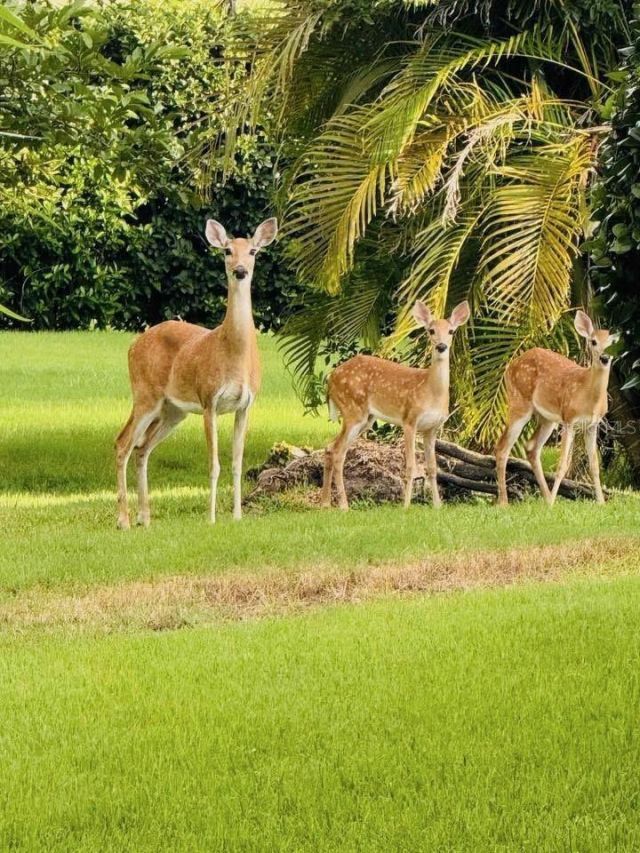 16307 29th Court E, Parrish, FL 34219 Photo