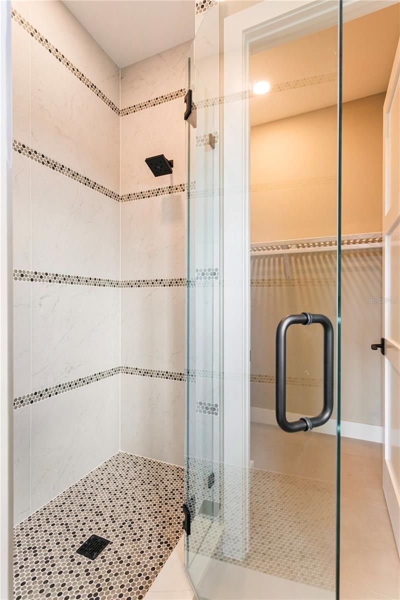 4823 W San Jose Street, Tampa, FL 33629 Photo