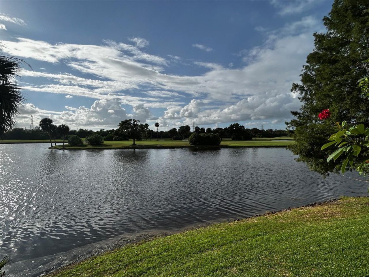 1200 Country Club Drive, Unit 1101, Largo, FL 33771 Photo