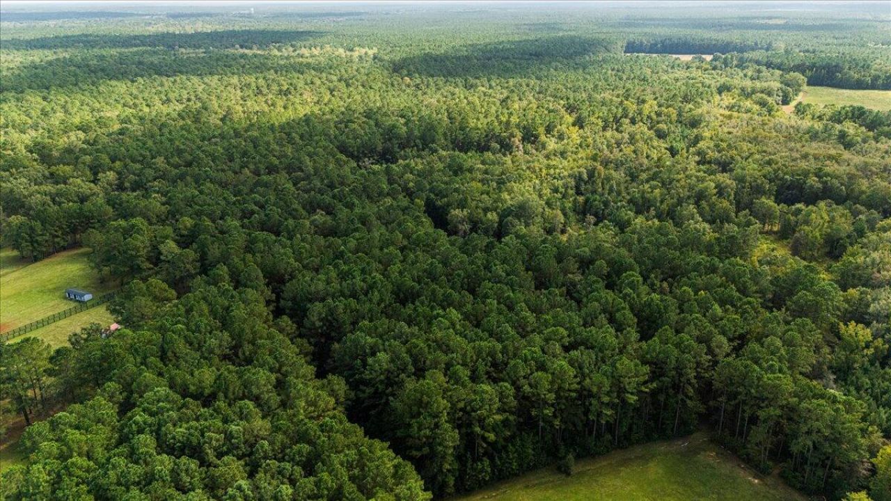 130 Tygerpaw Trail Photo 13