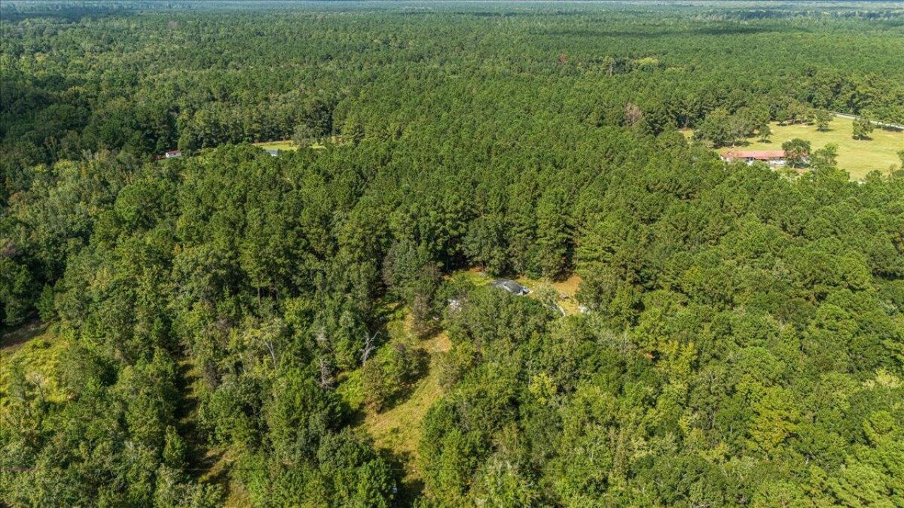 130 Tygerpaw Trail Photo 14