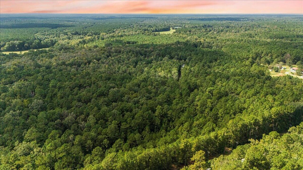 130 Tygerpaw Trail Photo 2