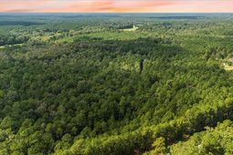 130 Tygerpaw Trail photo 4