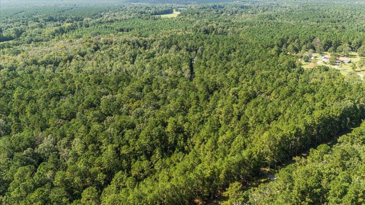 130 Tygerpaw Trail Photo 20