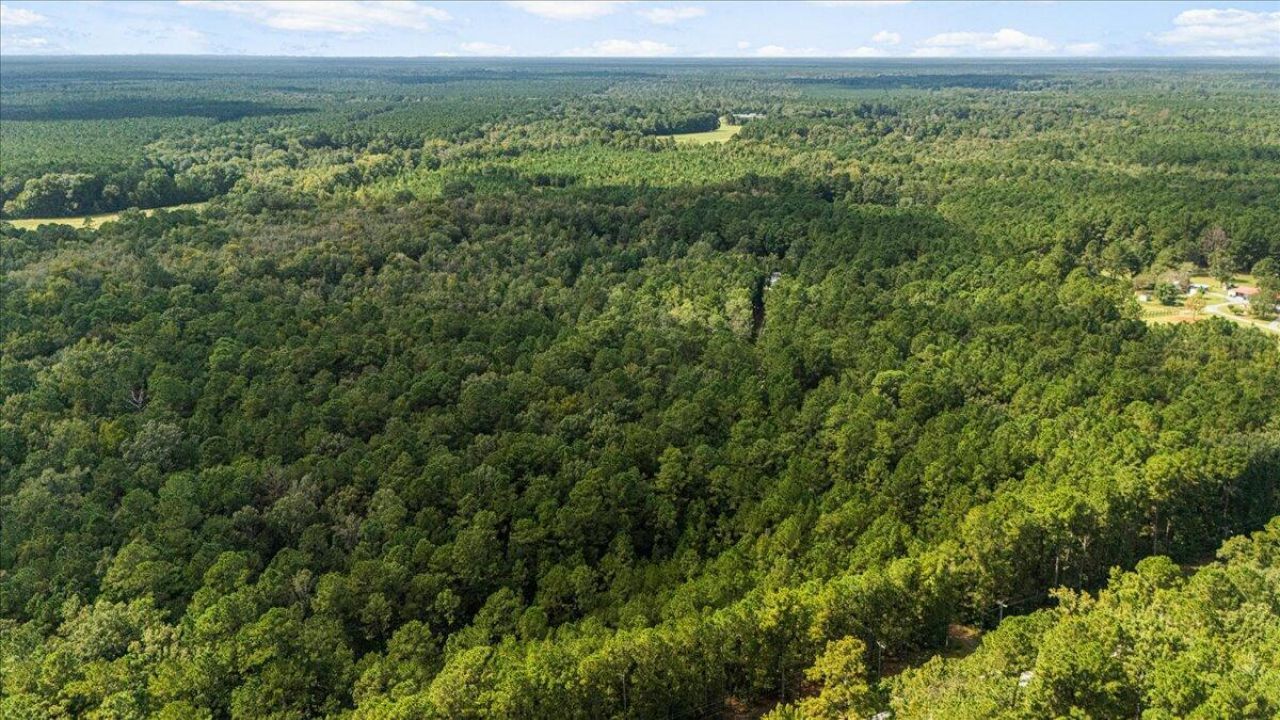 130 Tygerpaw Trail Photo 8