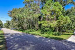 1001 Graham Ave. photo 4