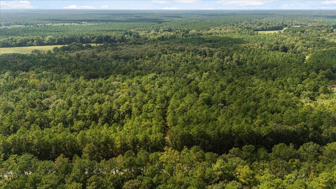 130 Tygerpaw Trail Photo 11