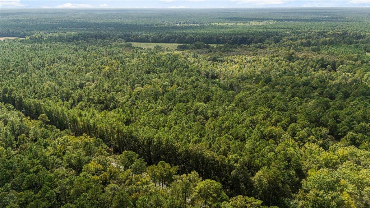 130 Tygerpaw Trail Photo 12