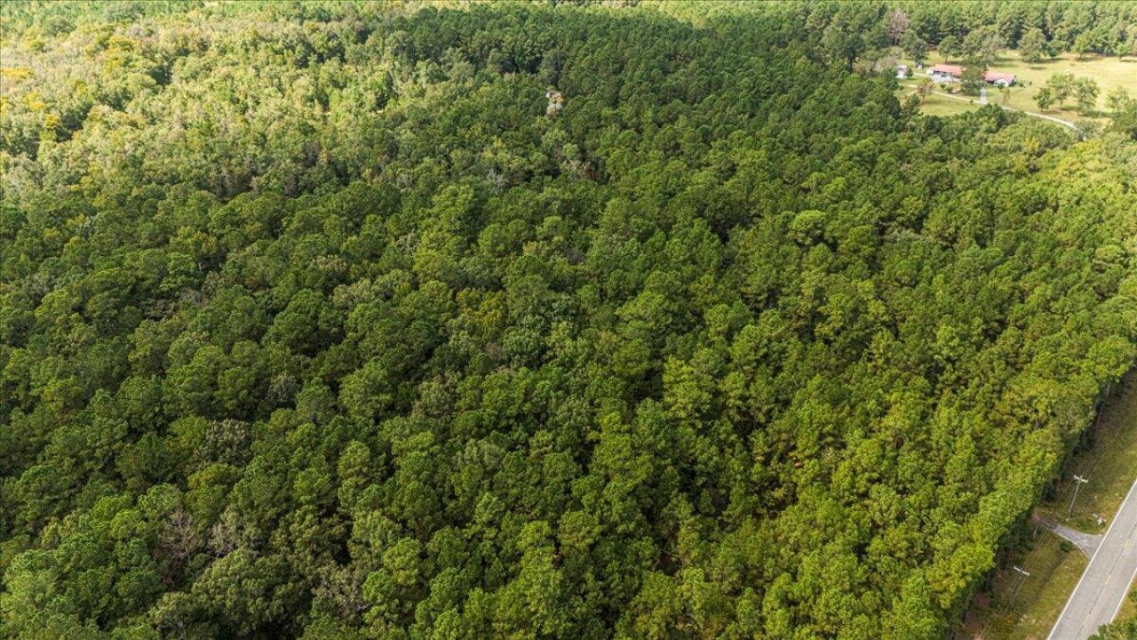 130 Tygerpaw Trail Photo 8