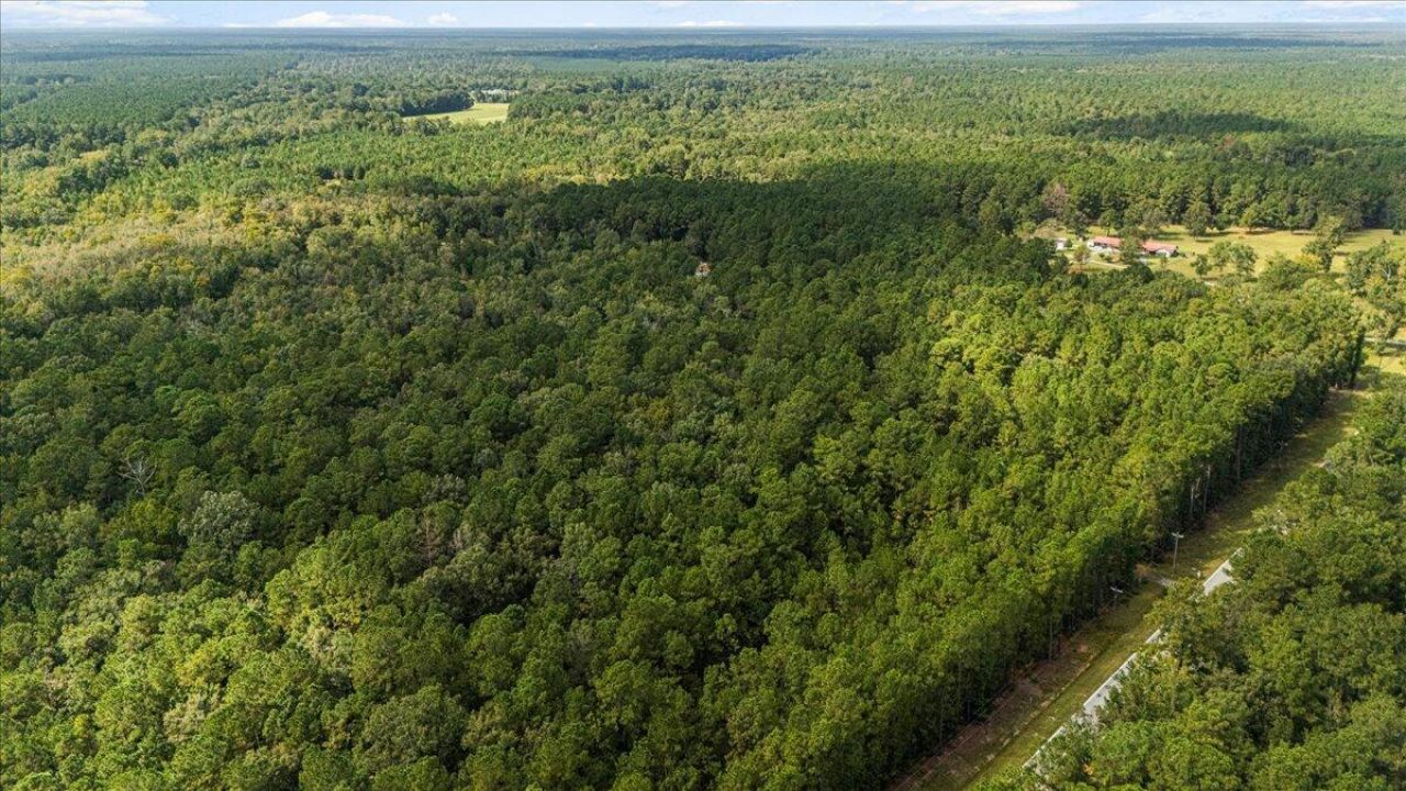 130 Tygerpaw Trail Photo 9