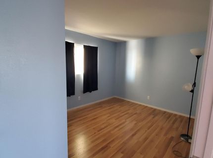 155 Lucille Drive, Walker Lake, NV 89415 Photo