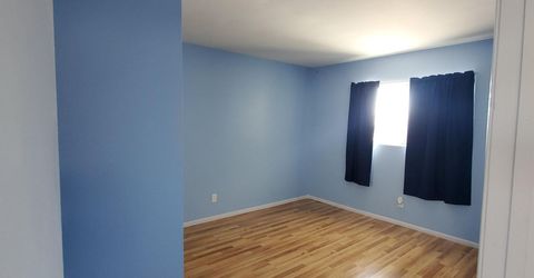155 Lucille Drive, Walker Lake, NV 89415 Photo