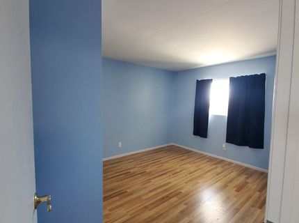 155 Lucille Drive, Walker Lake, NV 89415 Photo
