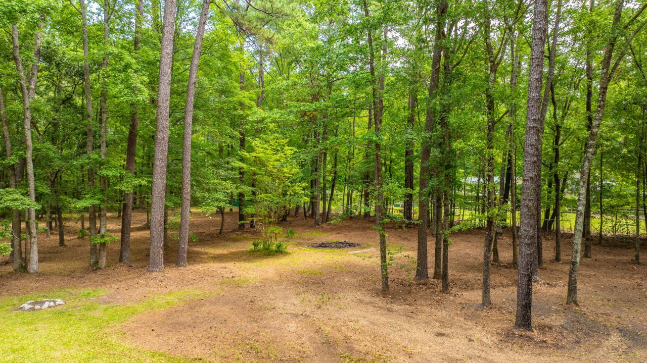 110 Cantering Hills Lane Photo 44