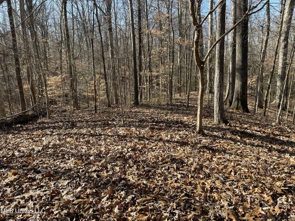 2311 Pocahontas Cove, Hernando, MS 38632