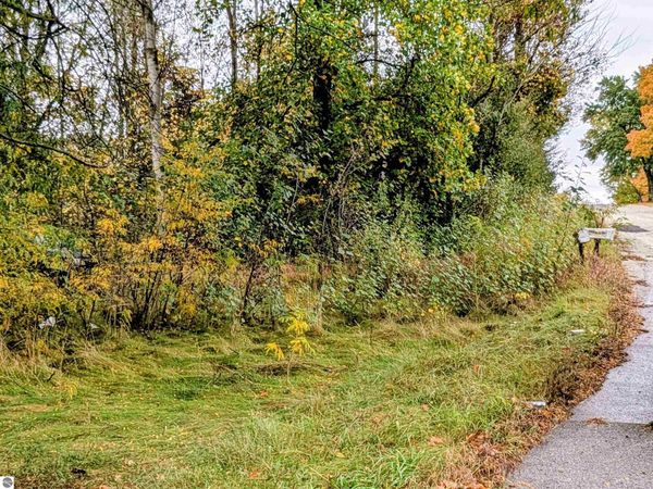 2495 Blanchard Road W, Mt Pleasant, MI 48858