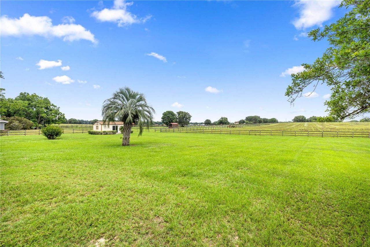 12131 NE 10th Terrace, Ocala, FL 34479 Photo