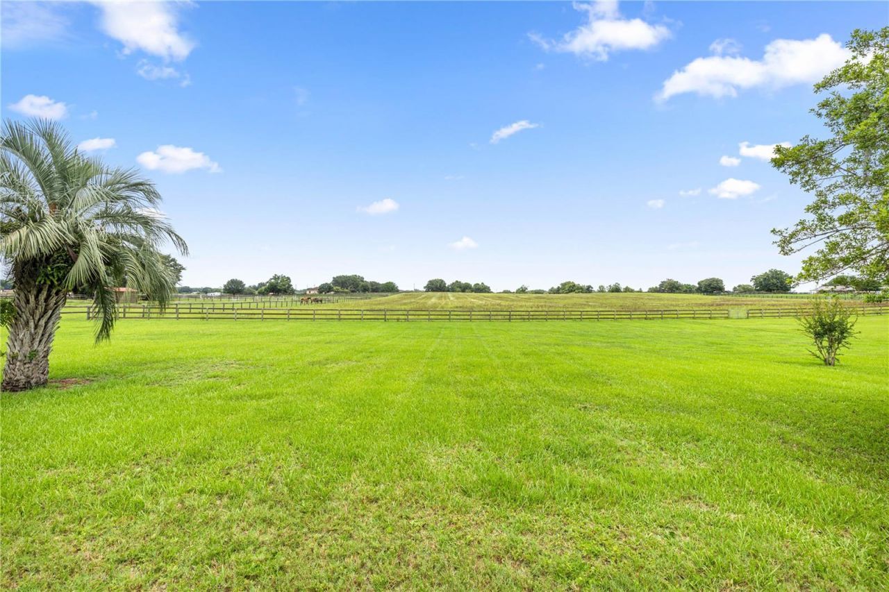 12131 NE 10th Terrace, Ocala, FL 34479 Photo