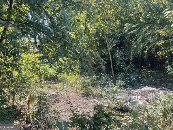 207 Morris Street, Palmetto, GA 30268