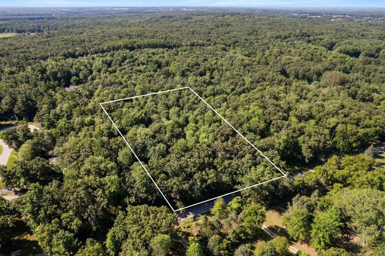 Vl Par 2 E 98th Street, Howard City, MI 49329 Main Photo