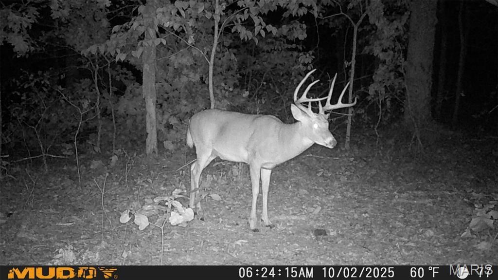 00 Sunset Shores Ln, Camdenton, MO 65324 Main Photo