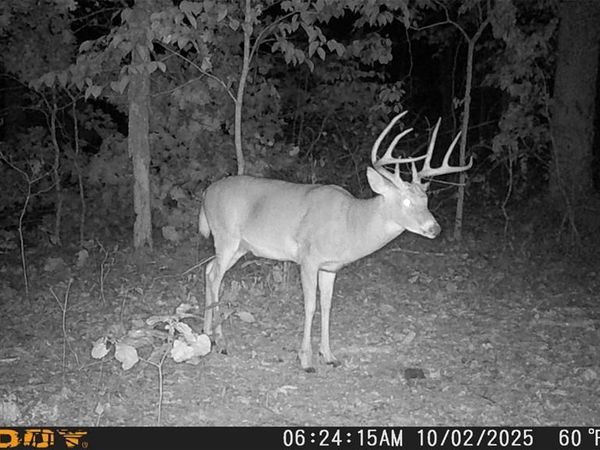 00 Sunset Shores Ln, Camdenton, MO 65324