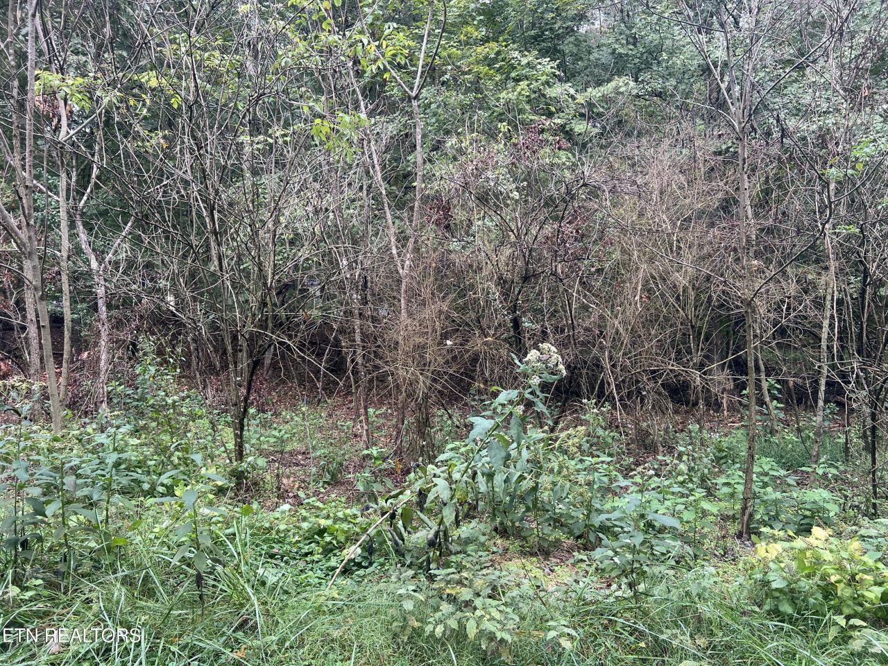 Lot 30 Ridge Circle, Kingston, TN 37763 Main Photo