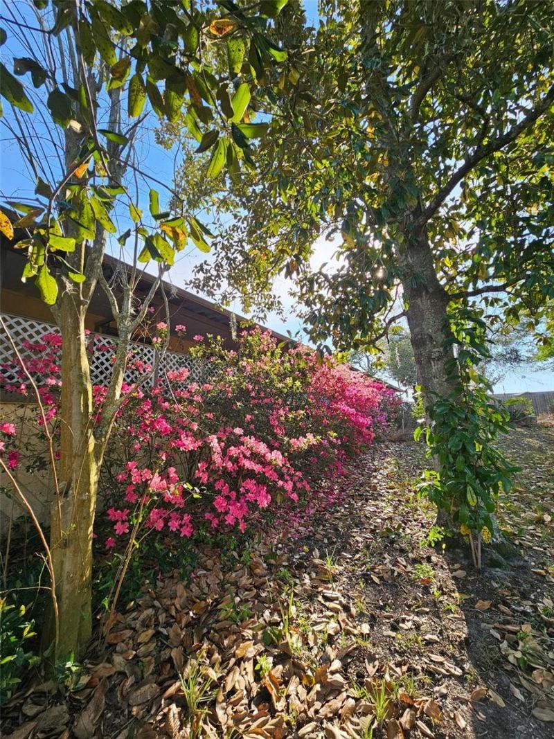 470 Fay Avenue, Spring Hill, FL 34609 Photo