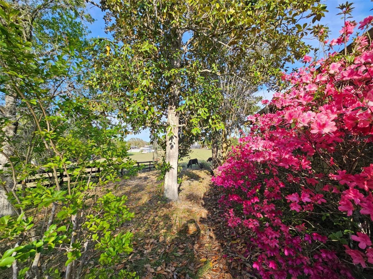470 Fay Avenue, Spring Hill, FL 34609 Photo