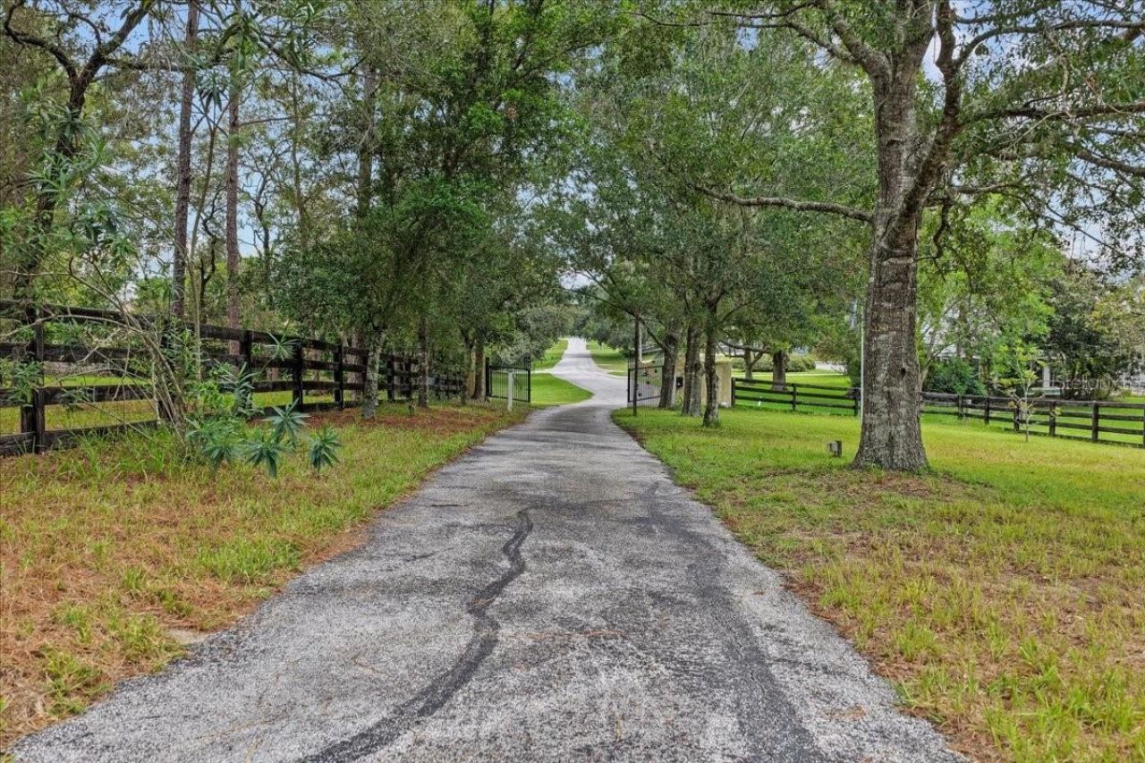 470 Fay Avenue, Spring Hill, FL 34609 Photo