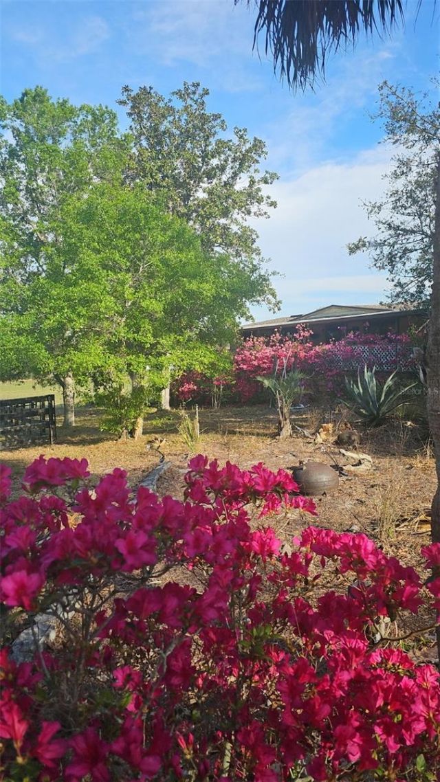 470 Fay Avenue, Spring Hill, FL 34609 Photo