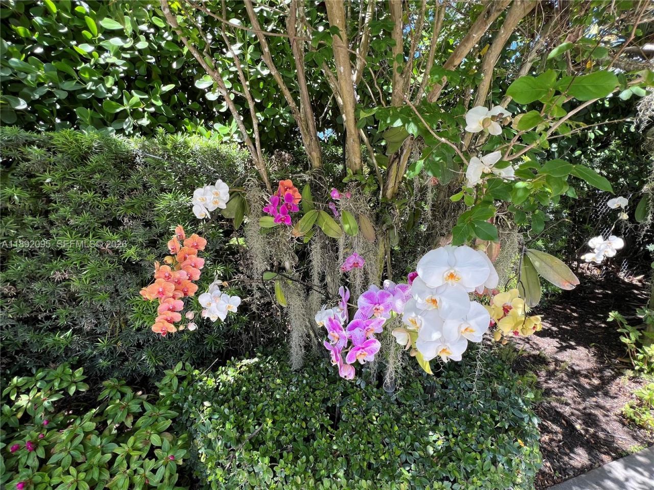 5800 SW 99th Ter, Pinecrest, FL 33156 Photo